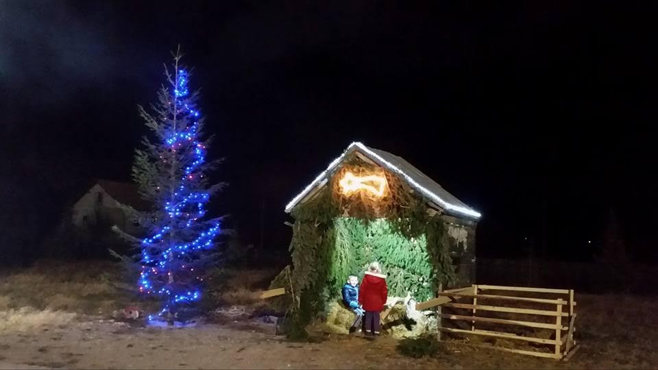 bosansko grahovo, žive jaslice,  Ljiljana Tolj, Božić