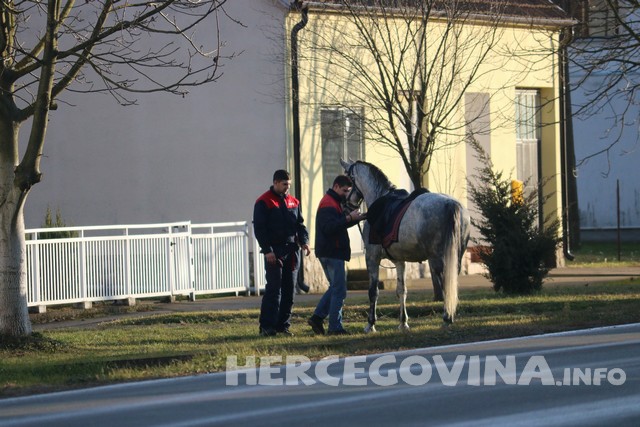 Slavonija, sv. stjepan, posavski podgajci