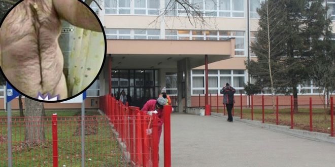 profesor, gole fotke