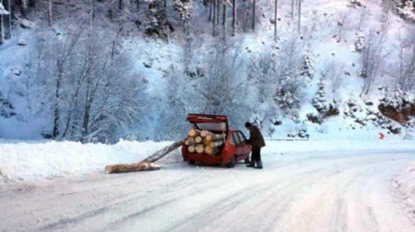 drveće, BIH, vremenska prognoza, ledeni val, regija, vremenska prognoza, hladnoća, Rekordna hladnoća, zoran vakula, meteo alarm, minusi