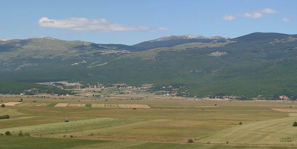 Nikola Vranjković, Livno