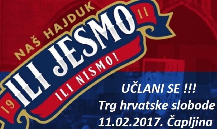 Torcida, torcida čapljina, Hajduk