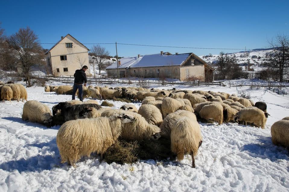 ZAHUM , Rama,  Franjo Jakovljević