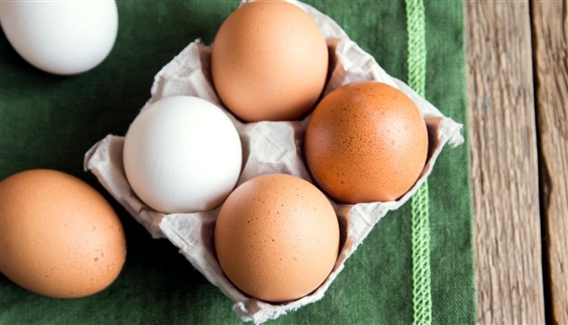 bijela jaja , smeđa jaja, razlike, stručnjaci, kuhana jaja, ljuska jajeta, Nutricionisti, jaja, peradari , nestašica konzumnih jaja, Zdravi nokti, namirnice, jaja, kod na jajetu, jaja, hladnjak, čuvanje
