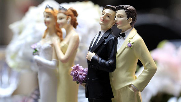 istospolni brak, Slovenija, LGBT udruge