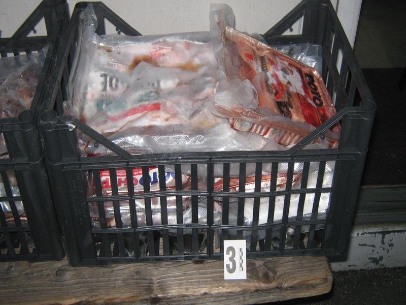 krivolovci, rijetke ptice, ptice, šverc