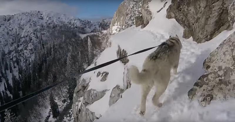 zavižan, planinarenje, Velebit, Velebit, Vila Velebita