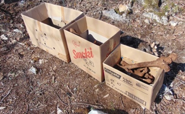 Široki Brijeg, eskumacija