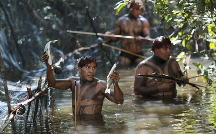 plemena amazon
