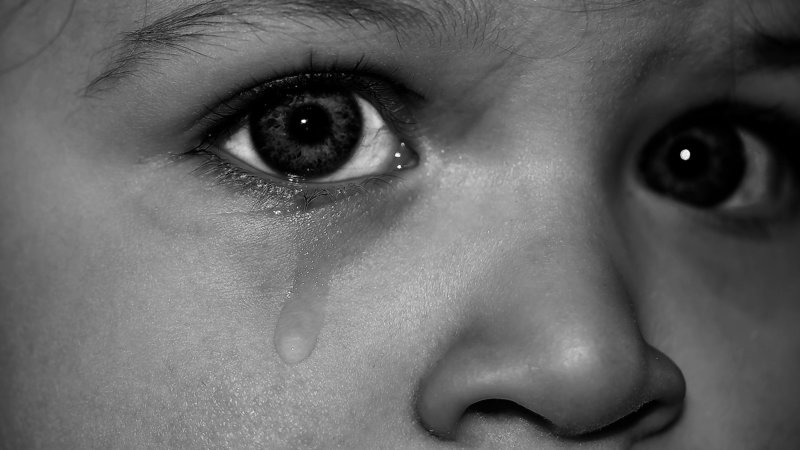 bosanski brod, rafinerija