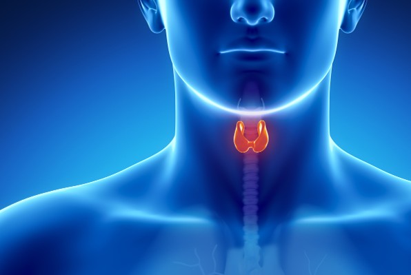 Štitnjača, problemi, upozoravanje , Štitnjača, hrana, izbjegavanje