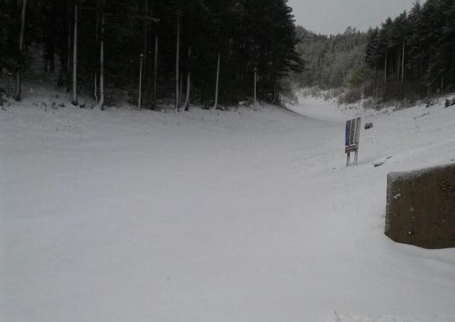 goranci i rujiste pod snijegom