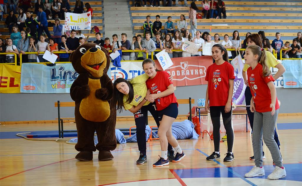 Grude, Lino višebojac