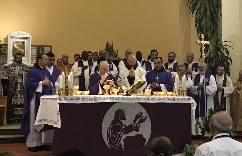 Henryk Hoser, nadbiskup Henryk Hoser, Međugorje