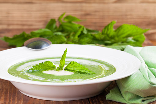 juha, kopriva, recept