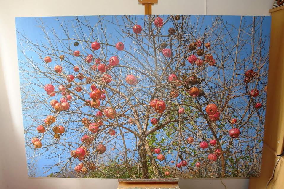 Marin Topić, šipci