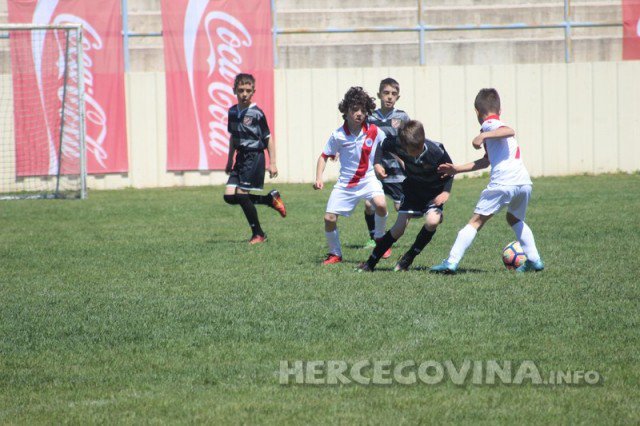 HŠK Zrinjski, Plemići, mladi Plemići