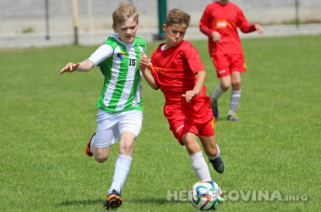 Bjelopoljac - Branitelj