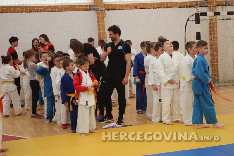 Judo kup Berkovići 2017