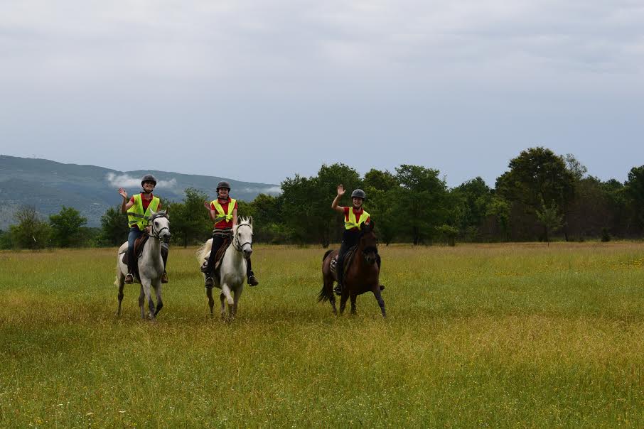 konjički klub, Konjički Klub Stina