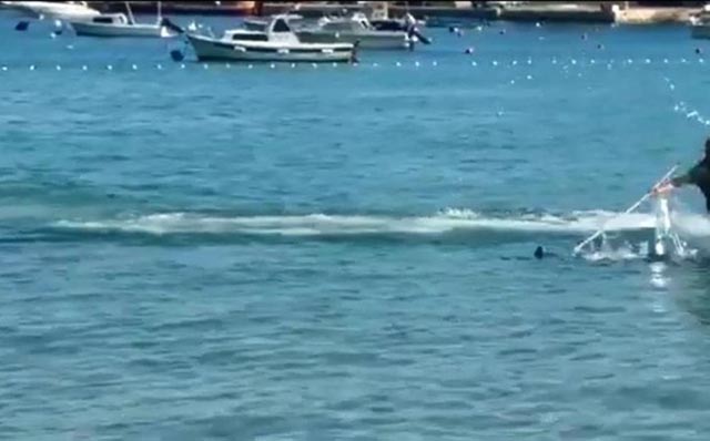 modrulja pred plažom