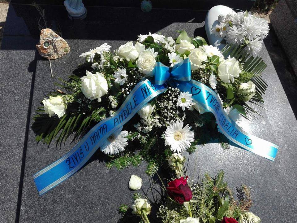 stjepan vojnić, HNK Cibalia