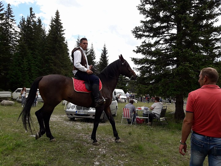 konjanici, DIVIN DAN , kedžara