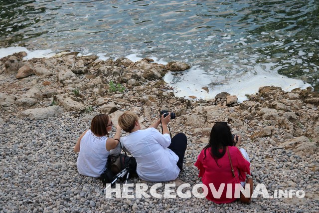 tečaj, ivan kelava, Koćuša