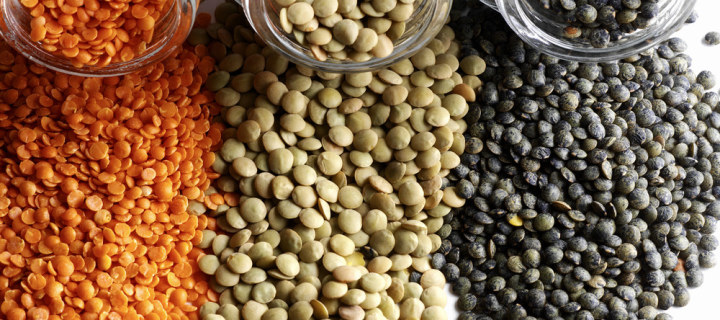 mahunarka Leća, mahunarka, slani recepti