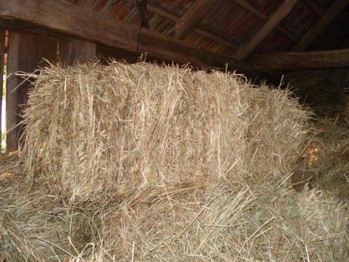 Gonjanje, hercegovački običaji, običaji