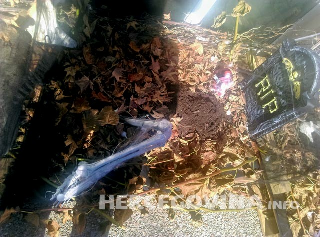 noć vještica u francuskoj