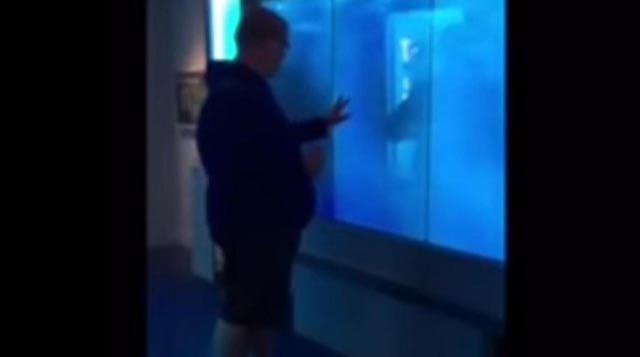 virtualni akvarij