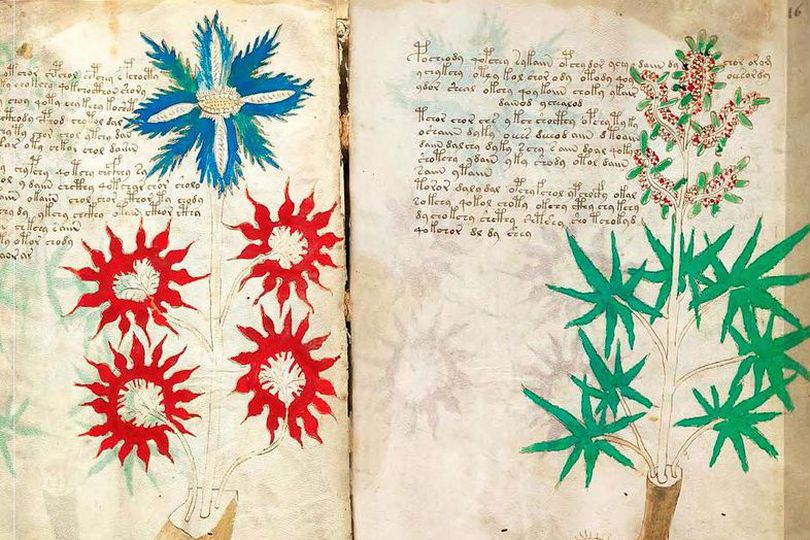 misterij, knjiga, nepoznati jezik, voynichev rukopis