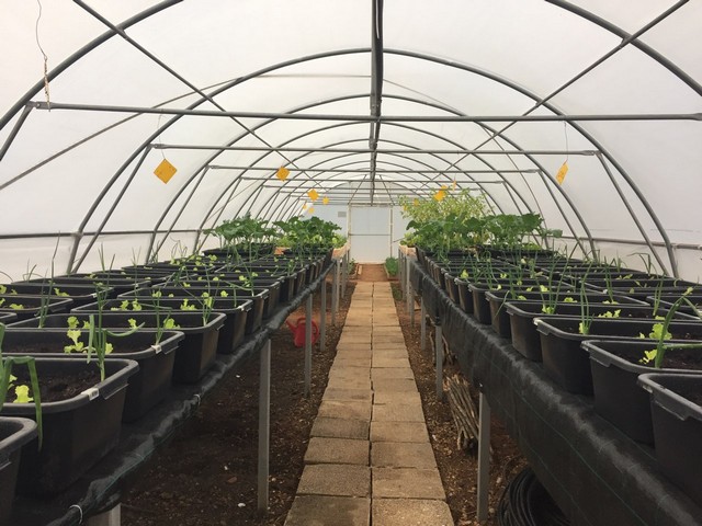 vedri osmijeh, promocija nečega