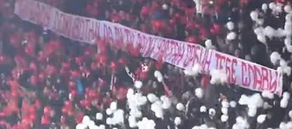 FK Crvena zvezda, delije