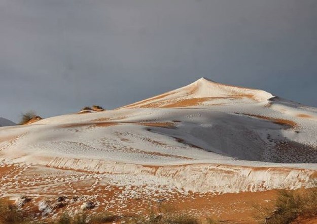 snijeg u sahari