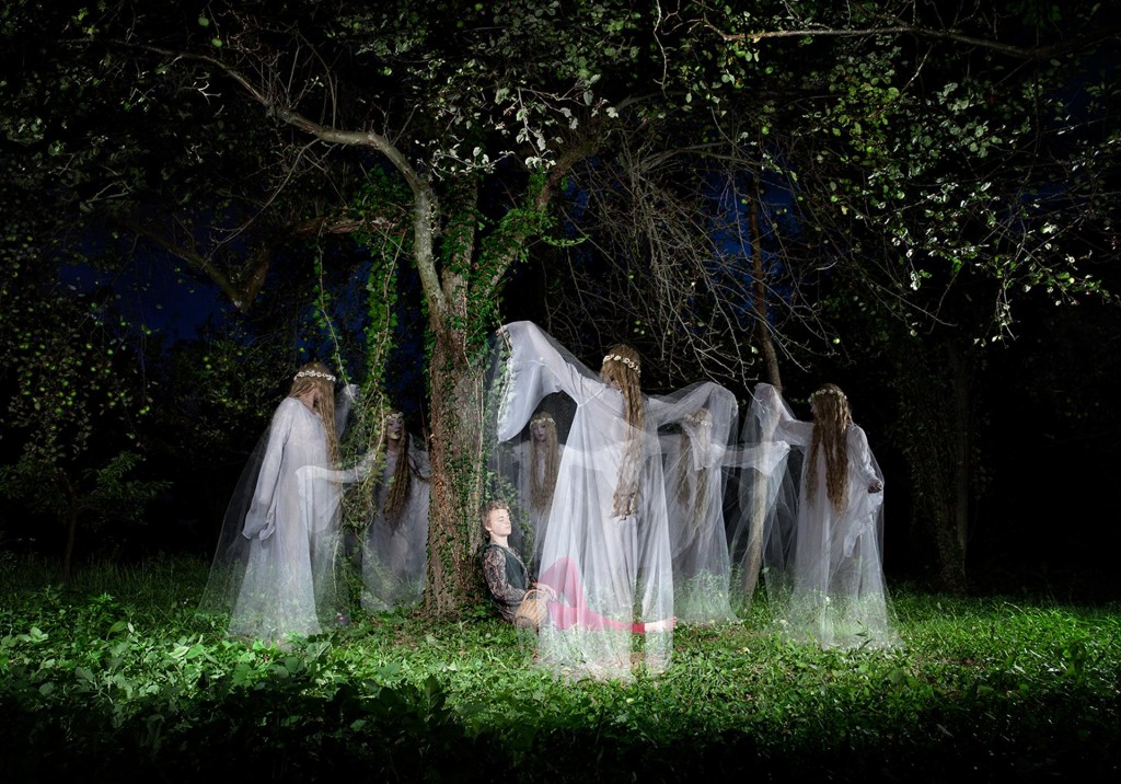 vile hercegovina, ples