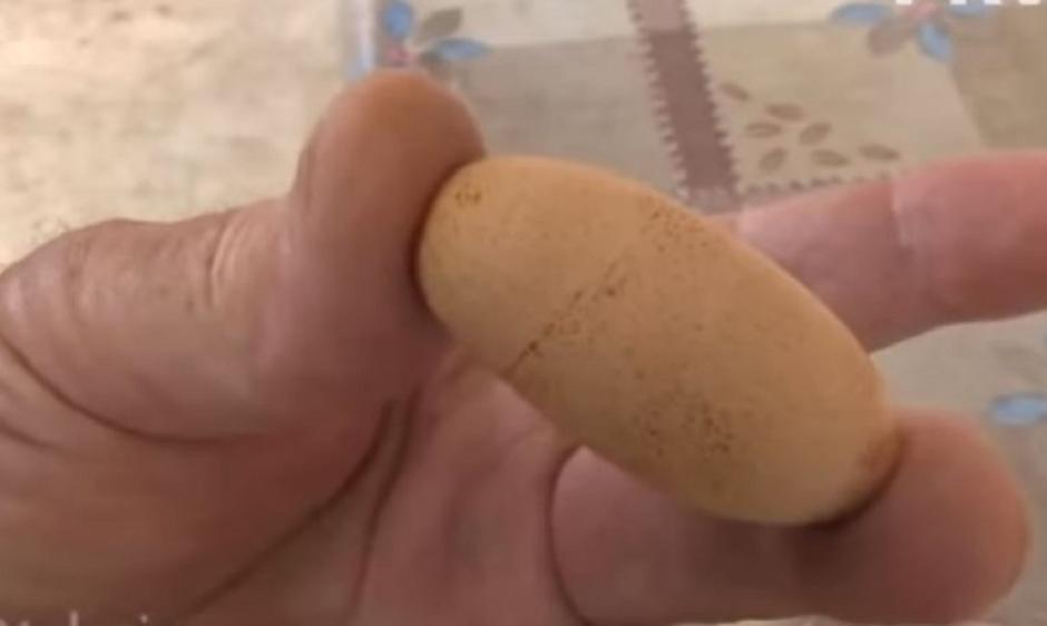 Šok u Hercegovini Pijetao nosi jaja