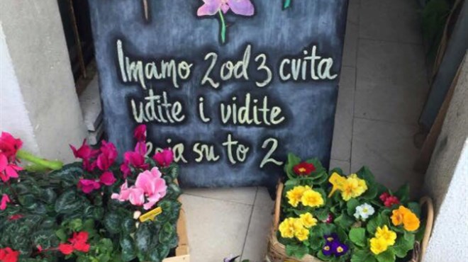 cvjećarna, Dalmacija, reklama