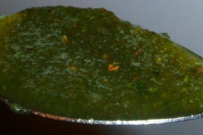 recept, svijet oko nas, bolesti