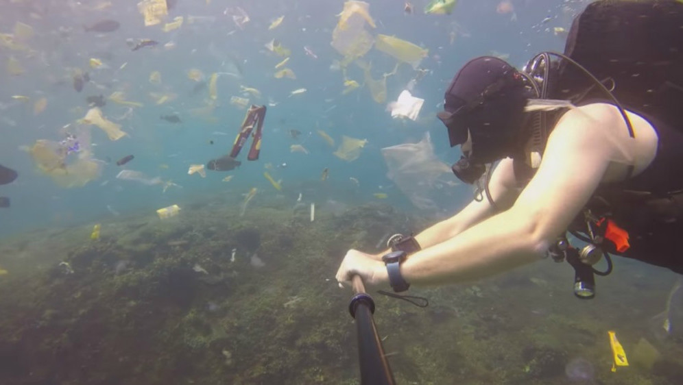 ronioc, more, zagađenje