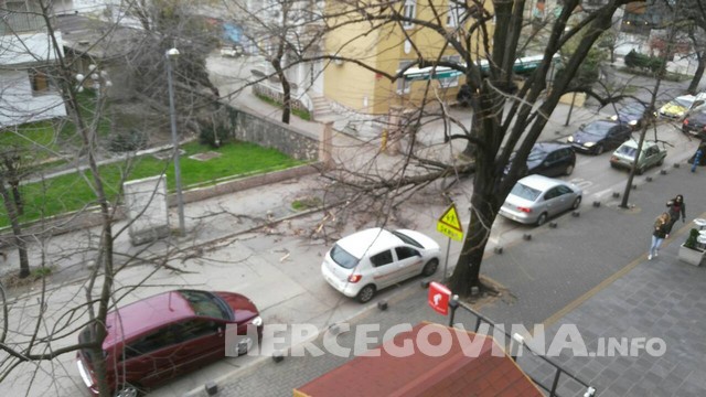 stablo, bura, Mostar