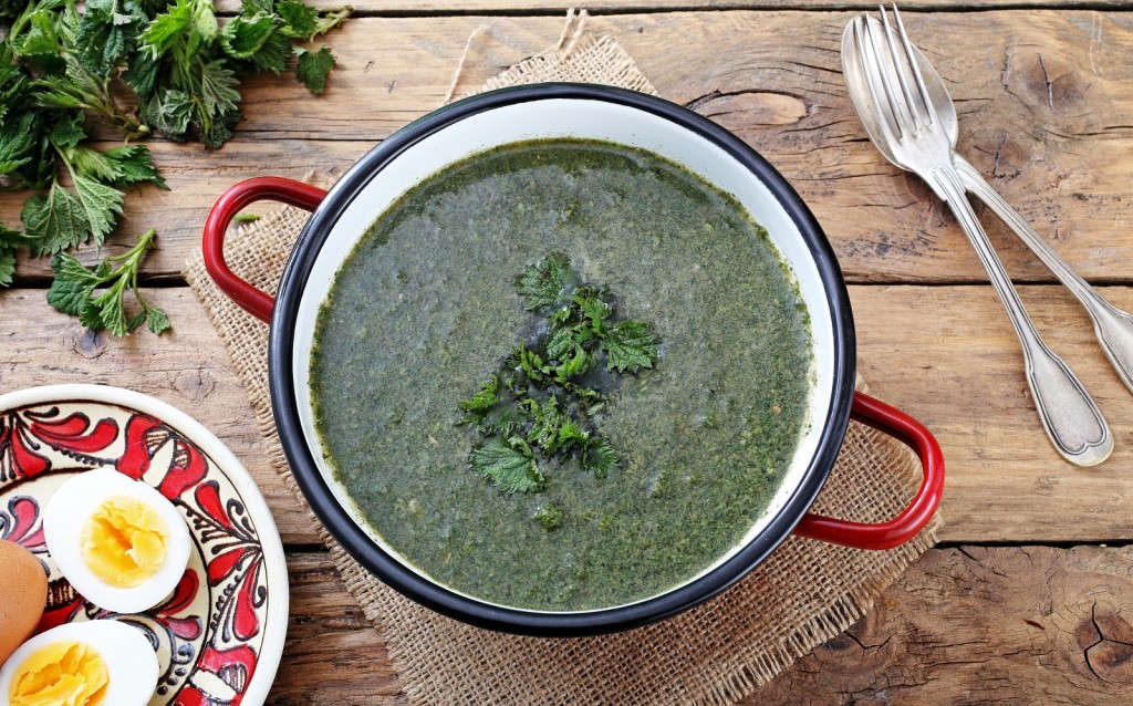 recept, Juha od koprive