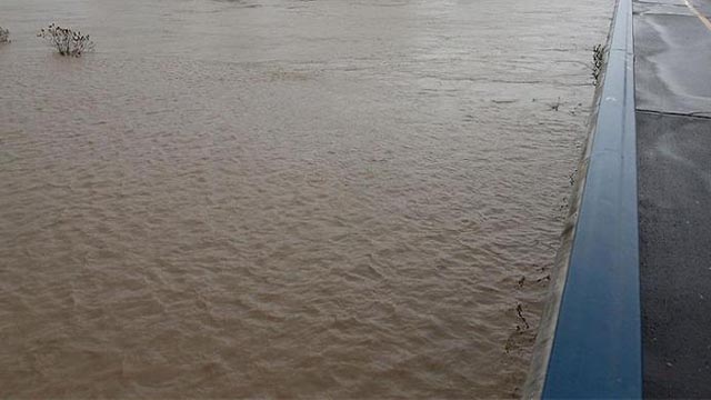 rijeka Sava poplava