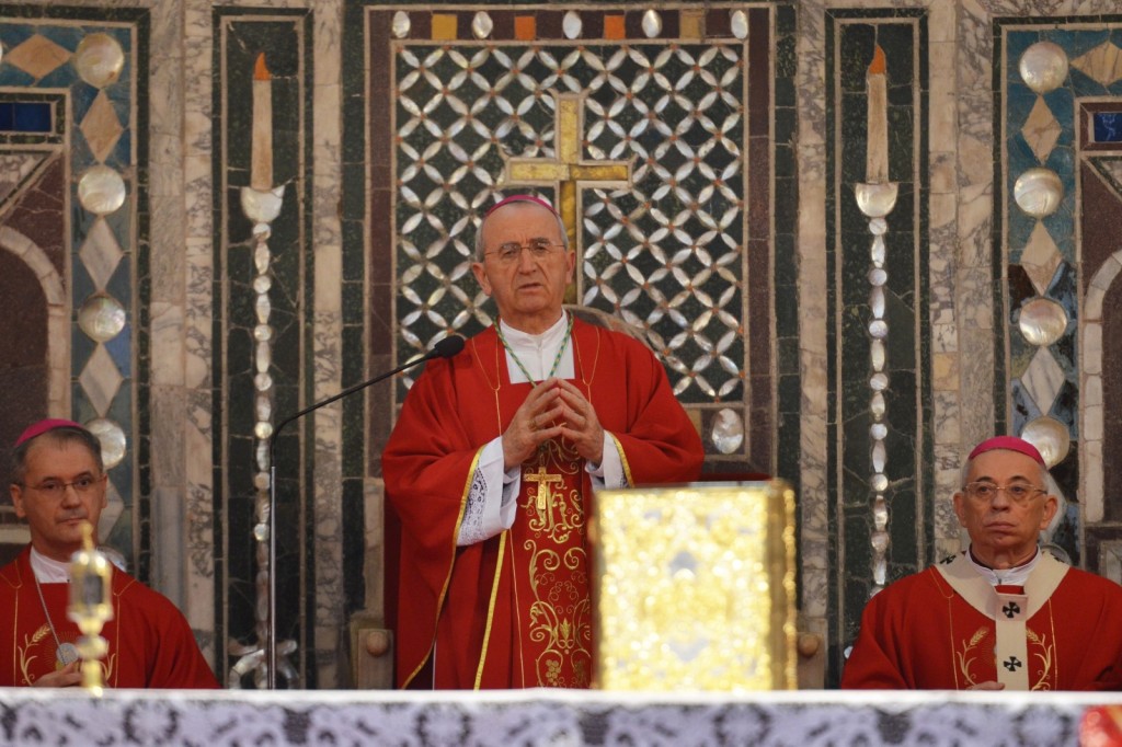 nadbiskup Želimir Puljić, istambulska konvencija