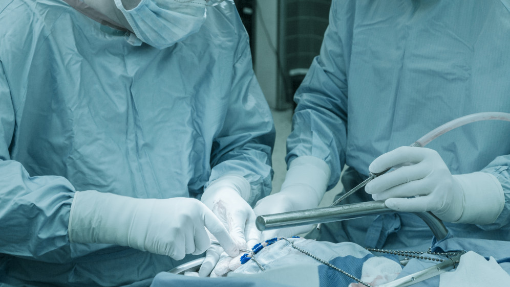 mozak, smrt, svinja, činjenice, lokalna anestezija, operacije hemoroida, plastične operacije, Sarajevski klinički centar, pacijent, pacijentice, bolnica, noga, Amputacija