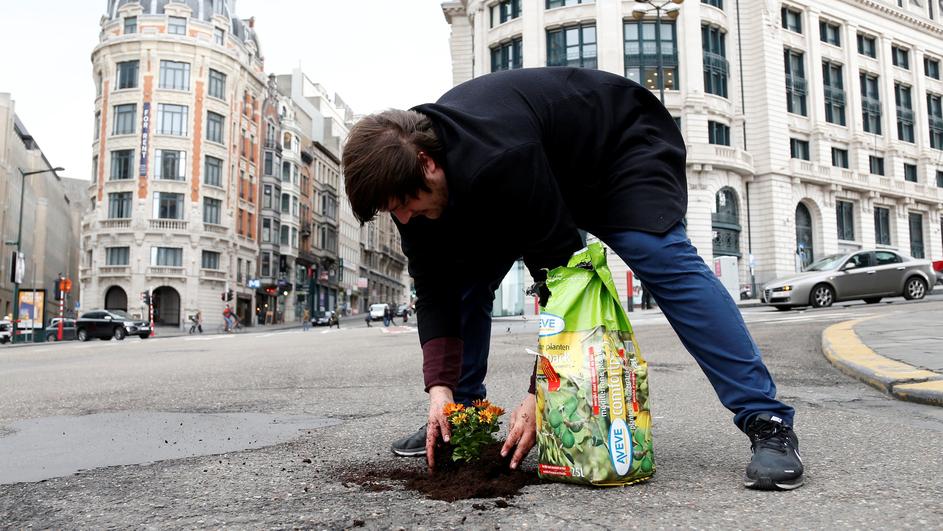 Nizozemac sadi cvijeće u rupe po briselskim prometnicama 