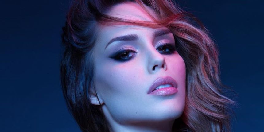 Franka Batelić, plagijat