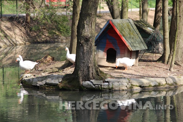 zoološki vrt sarajevo