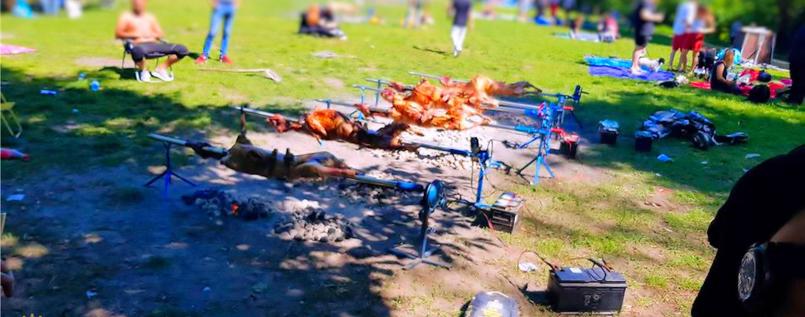 Bosanci, berlin, janjetina